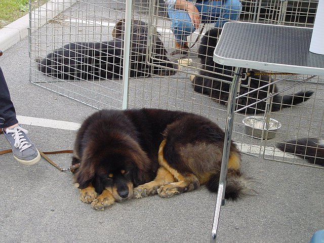 Immagine 019.jpg